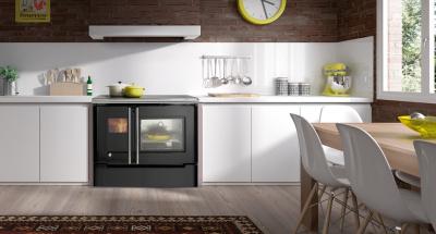 Дровяная печь HERGOM Cares