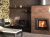 Каминная топка SPARTHERM Mini Sh — купить с доставкой