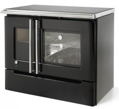 Дровяная печь HERGOM Cares